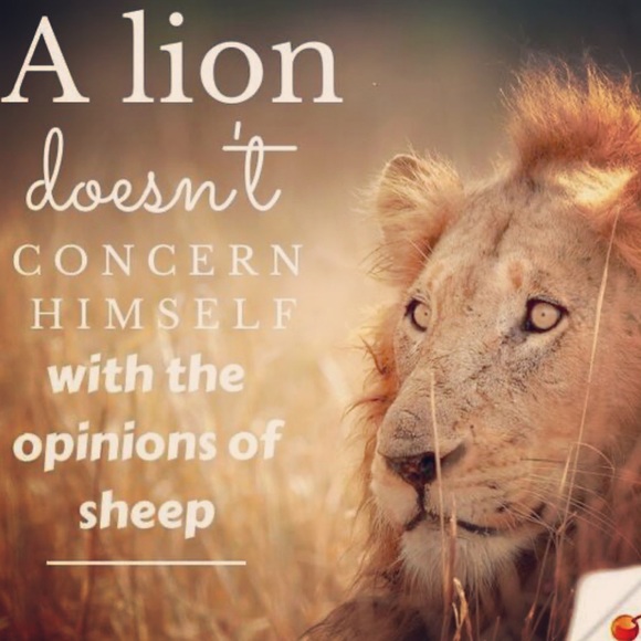 Live! ♥️ King50 ❤️  JULY 30 12:00 Pacific 🥰 Like this post to be notified 🙏🏻 - Picture 10 of 11